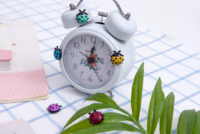 TabEnter Decorative Refrigerator Magnets, Perfect Fridge Magnets for House Office Personal Use (12Pcs Ladybug) - Image 3